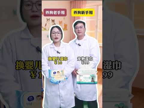 Novice's Guide: Best Canned Food for Dogs! Tips for New Dog Owners