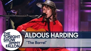 Aldous Harding - The Barrel