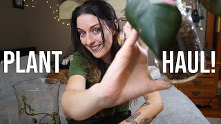 Double Plant Swap Haul | Vlogmas Ep02