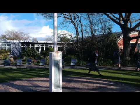 Te Wiki o Te Reo Māori 2021