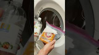 How To Remove Mold From A Front Loading Washer (And Prevent It!)
