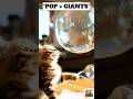 Kitten Steps on BUBBLE WRAP → GIANT BUBBLES Everywhere! 🫧😺 #shorts #ytshorts