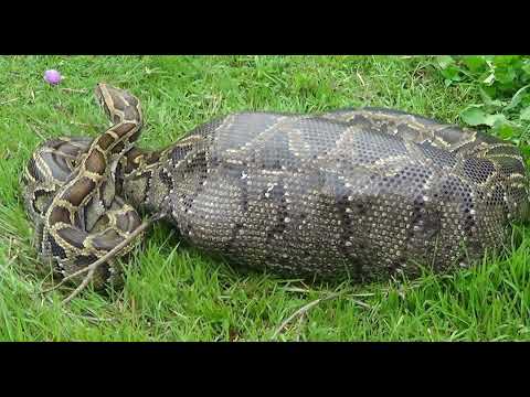 How Slack Built its Culture: Part 2