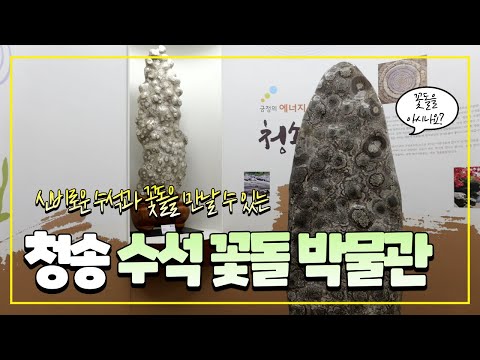 [온통청송] 청송수석꽃돌박물관