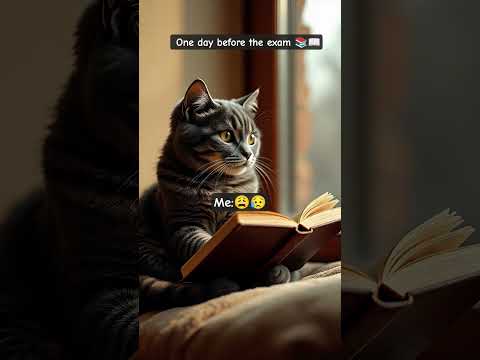 one day before the exam 📚✏️#relatable #trending #ytshorts #exam #avdhutindalkar