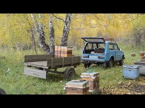вывоз пчёл с лесного точка осень 2014