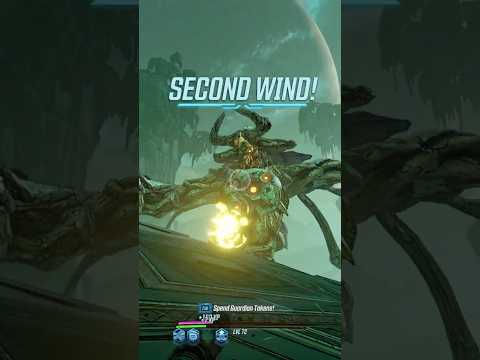 What 9000 Hours Of Borderlands 3 Looks Like #borderlands #borderlands3 #gaming #mods #funny #shorts