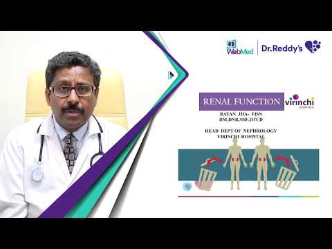 Renal Function Assessment