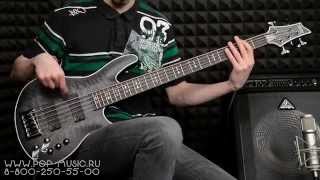 Video thumbnail for Бас-гитара SCHECTER HELLRAISER EXTREME-5 demo by PopMusicRu