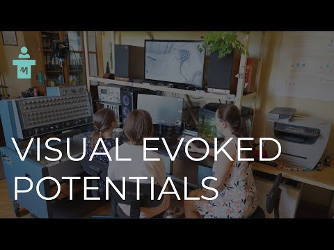 Event-Related Potentials: Visual Evoked Potentials (VEP). Lecture Series on Evoked Potentials