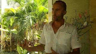 Detox Cleansing, Parasting Cleansing & Colon Cleansing: What you need to know!