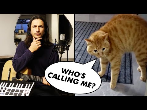 The Kiffness x Scary Cat - I Need Something (Singing Cat Song)