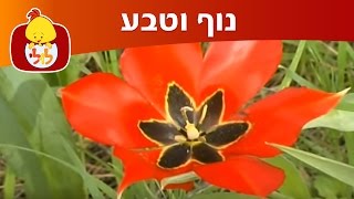 נוף וטבע: אביב - ערוץ לולי