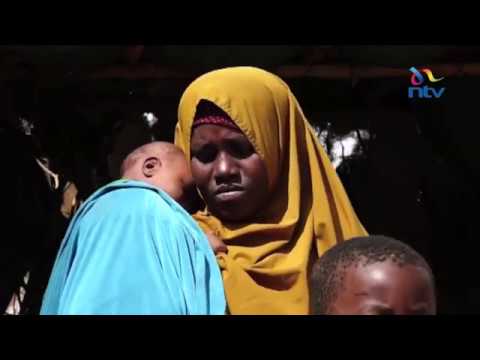 Many refugees return to Dadaab because of insecurity
