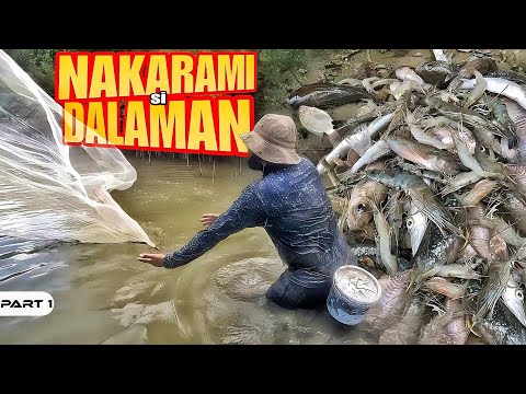 P1-Nakarami sa Dala - EP1097