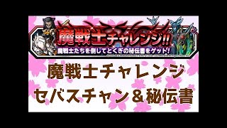 魔戦士チャレンジ