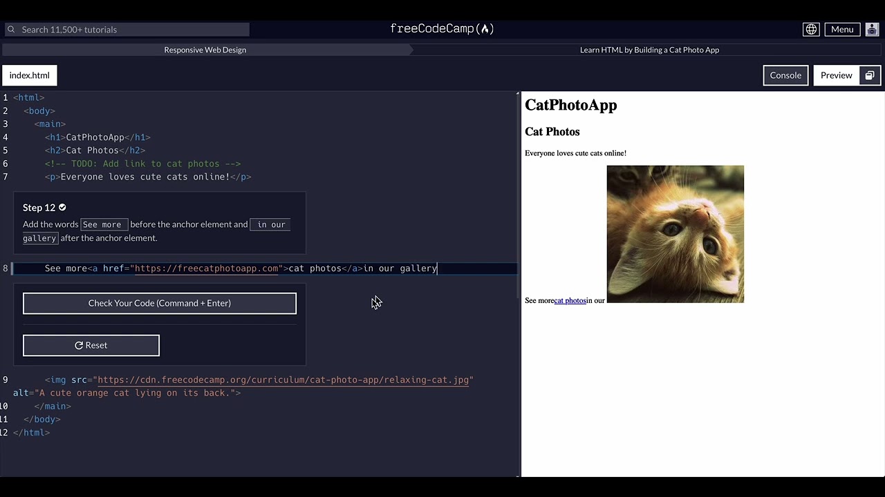 FreeCodeCamp - Responsive Web Design - Step 12 of 71 -  Learn HTML by Building a Cat Photo App