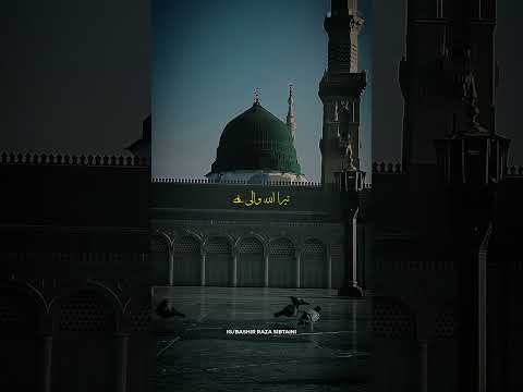 Wo Hai Allah Waale | New Naat Status #shorts #bashirrazasibtaini #viralvideos #new_naat