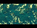 Trey Anastasio - Architect