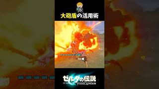 大砲盾の二段ジャンプを利用したライネル戦 #shorts  #ゼルダの伝説ティアーズオブザキングダム #ティアキン
