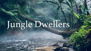 【Inst】Jungle Dwellers【オリジナル曲】