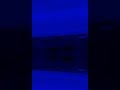 BFDI Auditions In G Major 14