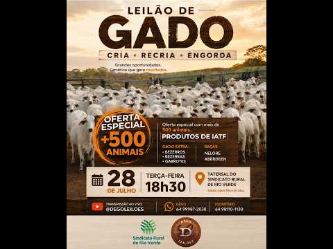 LEILAO DE GADO  28 - 07 - 2026 - Sindicato Rural de Rio Verde - Dêgo Leilões