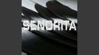 Senorita (Originally Performed by Shawn Mendes and Camila Cabello) (Instrumental)