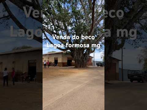 Venda do beco Vicente Souto e família lagoa formosa mg #natureza #lagoaformosa @JDMNAESTRADA