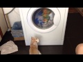 Cat Vs Washing Machine