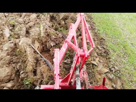 Oranje u tvrdoj zemlji/Imt 577 DW/Imt 757 V. K.