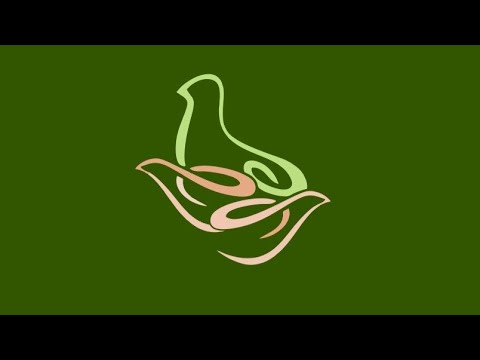 CONEXÃO AVIS 09/02/2026