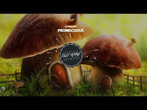 Hotweiller'S - Promiscuous (Remix)