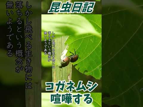 IUCN分類における絶滅の危険性を示す図。