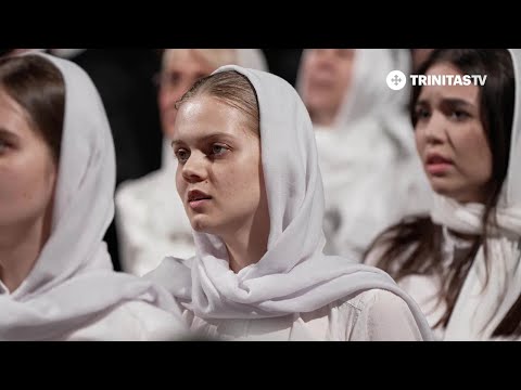 Cămara Ta, Mântuitorule - Pr. Vlad Roșu și Grupul Psaltic Sfântul Spiridon