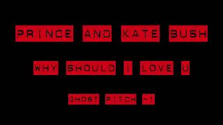 Prince &amp; Kate Bush - Why should i love U (New Version)