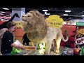 NESTLE LION KING