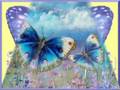 Butterfly - Danyel Gerard. 