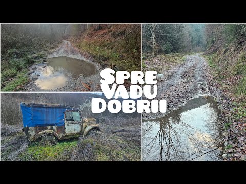 Drumul Runcu Mare - Vadu Dobrii