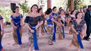 Download lagu FULL 1 JAM TAYUB LASTRI CILIK, CHIKA, VUAH - Mardi Budoyo - BGSpro mp3