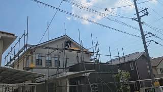動画サムネイル