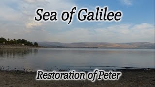 Video: Restoration of Peter - HolyLandSite