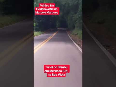 Túnel dos Bambus na estrada da Serra da Meruoca (Ce)nas proximidades do Sítio Boa Vista
