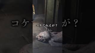 見たことないコケ方する主人公#shorts #ホラー
