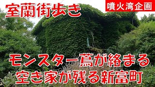 【室蘭街歩き】驚愕のモンスター蔦が絡まる空き家が残る新富町1丁目