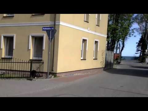 Rodzinne Zacisze w Sarbinowie