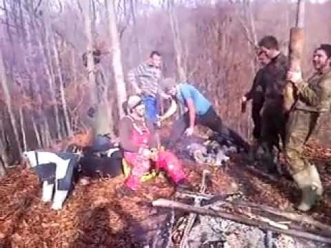 bezlja' by: rade cvijanovic