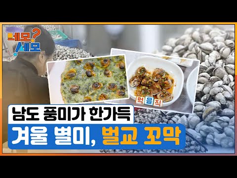 [네모세모] 남도의 풍미가 한 가득! 벌교 꼬막
