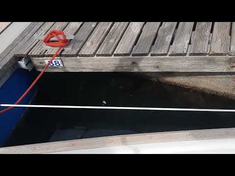 Contessa 26 J J Taylor - Boatshed - Boat Ref#313601