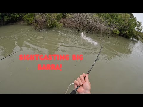 The Best Barra Fishing We've EVER Caught on Video!